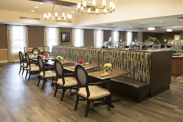 Image of Azalea at Hamilton (8)