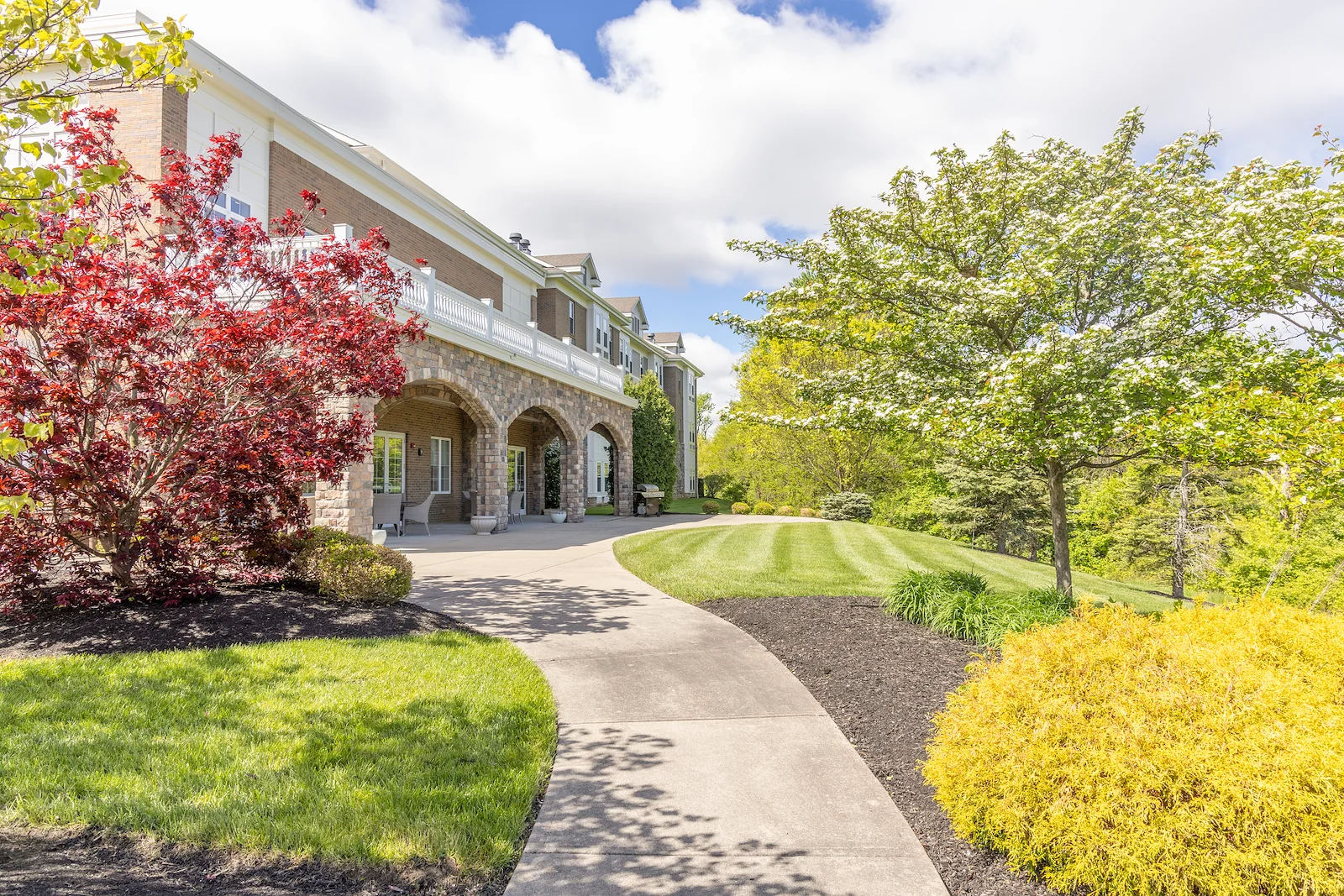 Image of Fields of Florence (9)