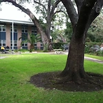 Image of John J Hainkel Jr Home And Rehabilitation Center (1)