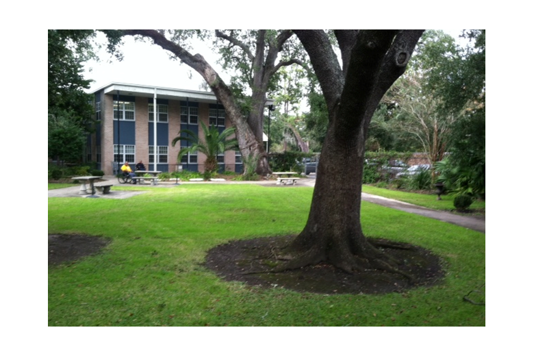 Image of John J Hainkel Jr Home And Rehabilitation Center (1)