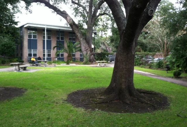 Image of John J Hainkel Jr Home And Rehabilitation Center (1)