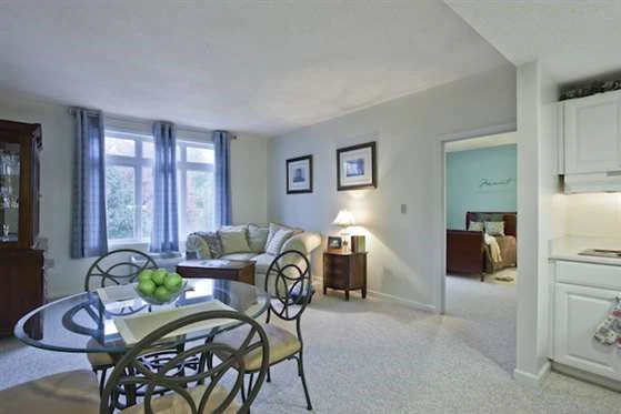 Image of Bloom at German Church (4)