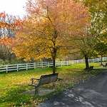 Image of Elderwood Assisted Living at Cheektowaga (6)