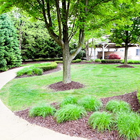 Image of Four Seasons - Optalis Health & Rehabilitation Center (1)