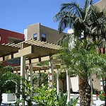 Image of Colonia Jess Lopez (5)