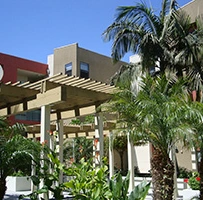 Image of Colonia Jess Lopez (5)