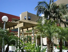 Image of Colonia Jess Lopez (5)