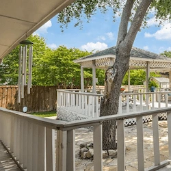 Image of Silver Leaf Dallas on Meadow (2)