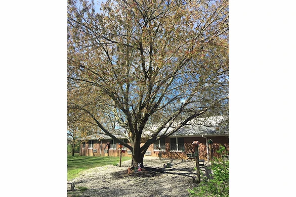 Image of Evansville Protestant Home Senior Living (4)