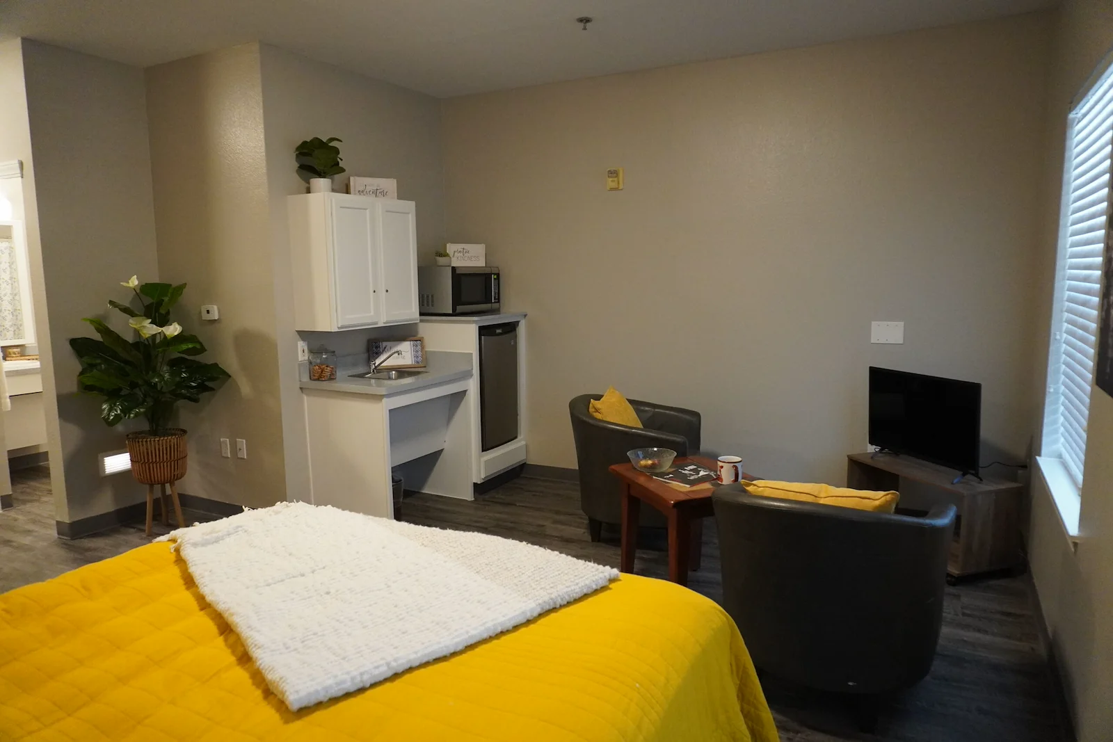 Image of Sodalis Austin (8)