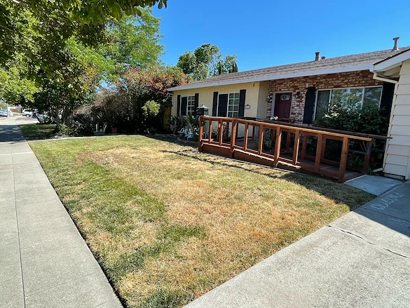 Image of Helping Hands - Dublin (2)