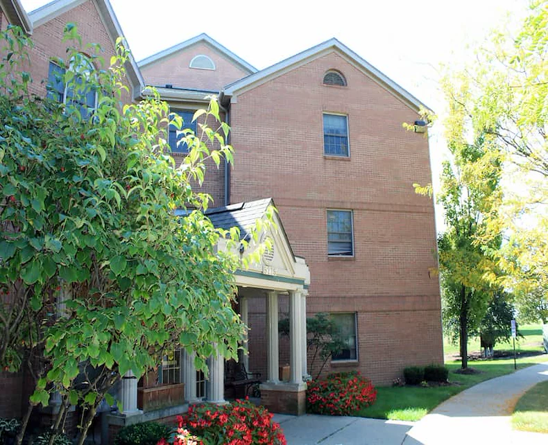 Image of Cherry Blossom (4)