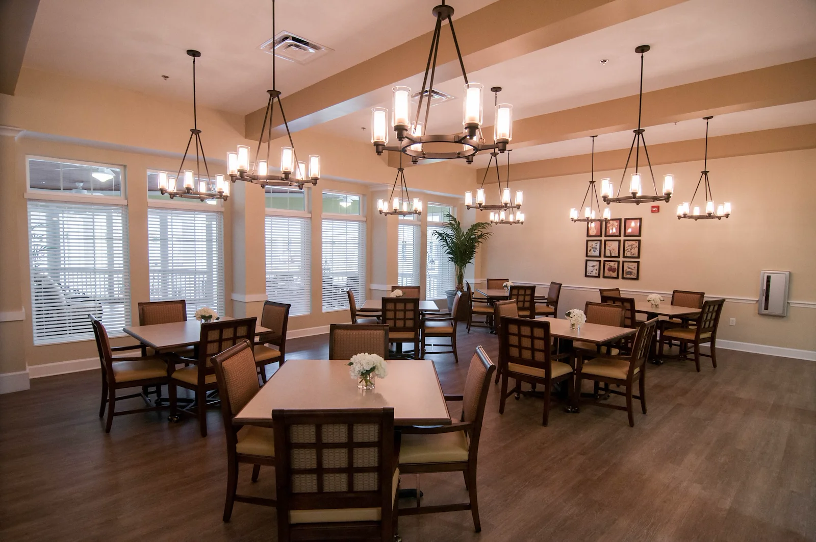 Image of YourLife of Pensacola (4)