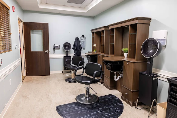 Image of The Reserve at Spring Hill Assisted Living (6)