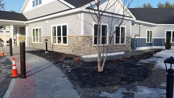 Image of Summer Commons (4)