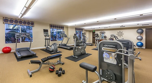 Image of San Sebastian (5)