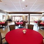 Image of Avamere Rehabilitation Of Cascade Park (5)