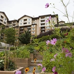 Image of Timber Ridge at Talus - Senior Living (1)