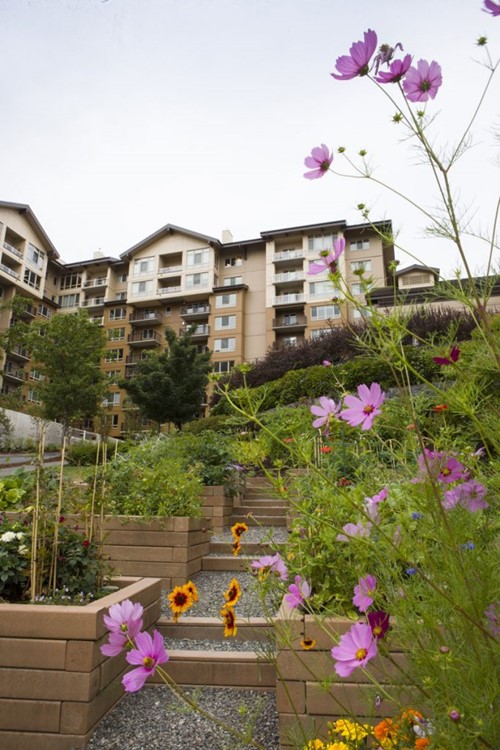 Image of Timber Ridge at Talus - Senior Living (1)
