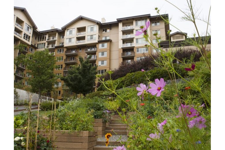 Image of Timber Ridge at Talus - Senior Living (1)