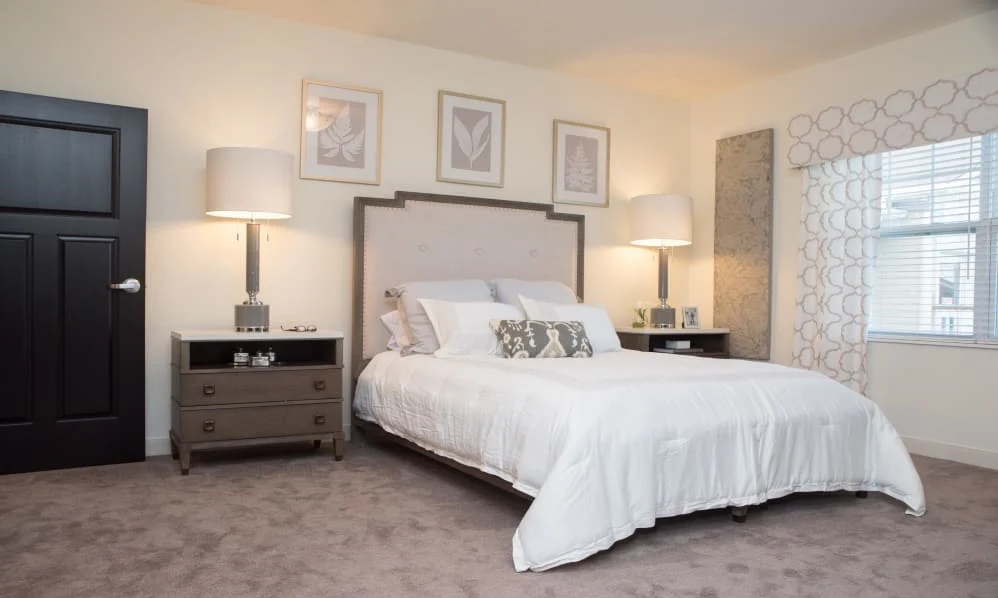 Image of Violet Springs Skilled Services (10)