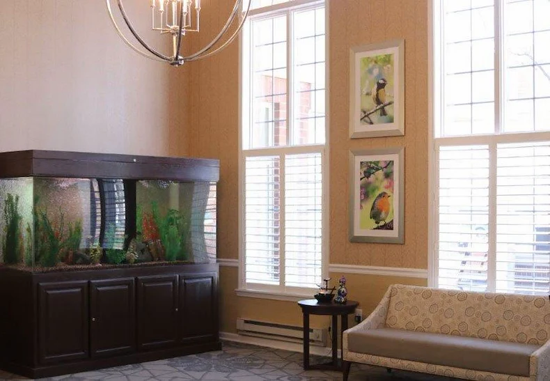 Assisted Living Apartments