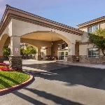 Image of Truewood by Merrill, Henderson (3)