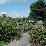 Image of Optalis Health & Rehabilitation of Three Rivers (2)