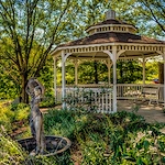 Image of Autumn View Gardens Ellisville (4)