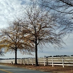 Image of Ahepa 242 Senior Apartments (2)