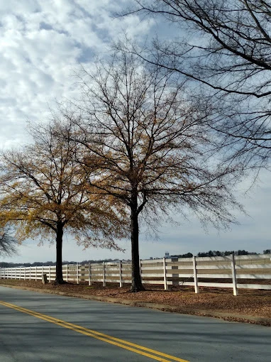 Image of Ahepa 242 Senior Apartments (2)