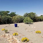 Image of Casas Adobes Assisted Living (8)