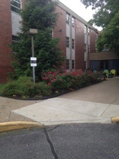 Image of University Terrace Senior Apartments (1)