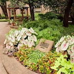 Image of Fowler Christian Apartments (3)