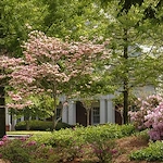 Image of The Gardens Personal Care Home (1)