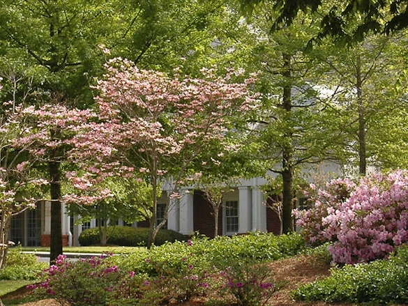 Image of The Gardens Personal Care Home (1)