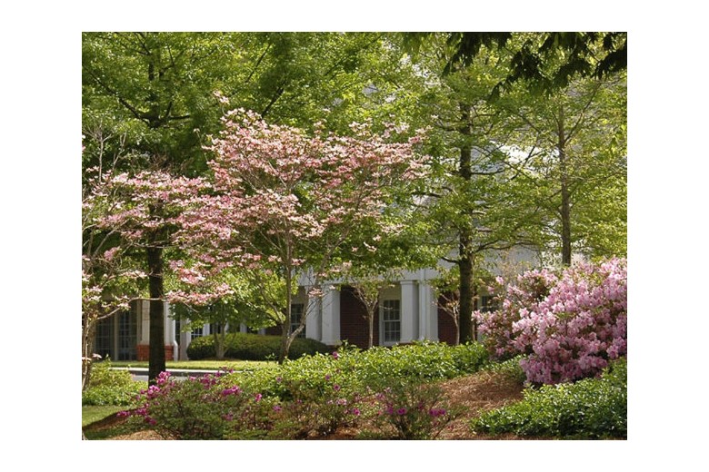 Image of The Gardens Personal Care Home (1)