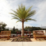 Image of Grace Manor Suites (3)