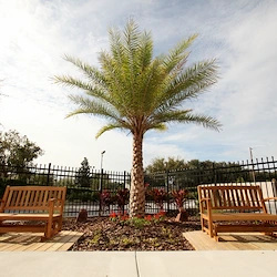 Image of Grace Manor Suites (3)