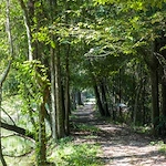 Image of St. James Place Senior Living (5)