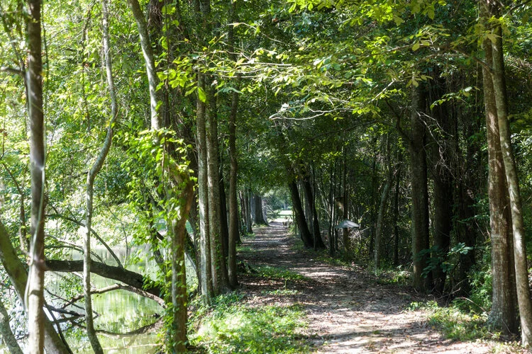 Image of St. James Place Senior Living (5)