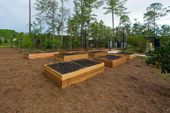 Image of Cassie Gardens (9)