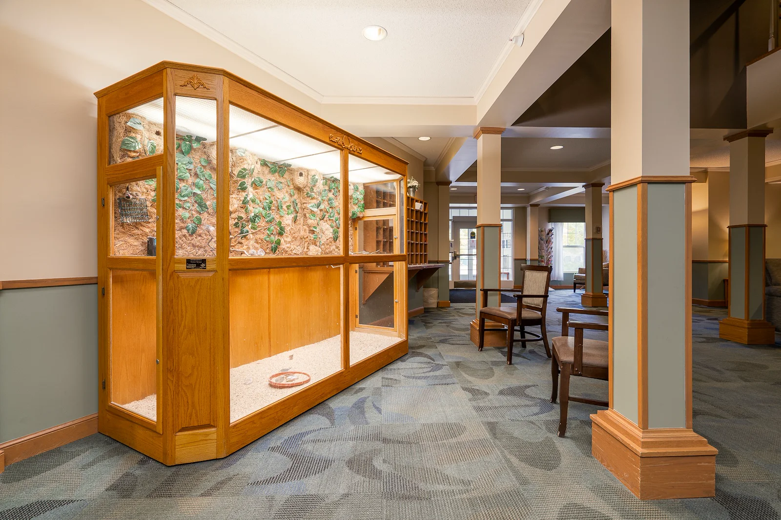 Image of Trinity Terrace (4)