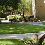 Image of Atria Willow Glen (3)