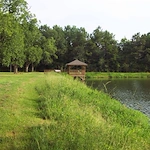 Image of Woodland Lake Senior Village (8)