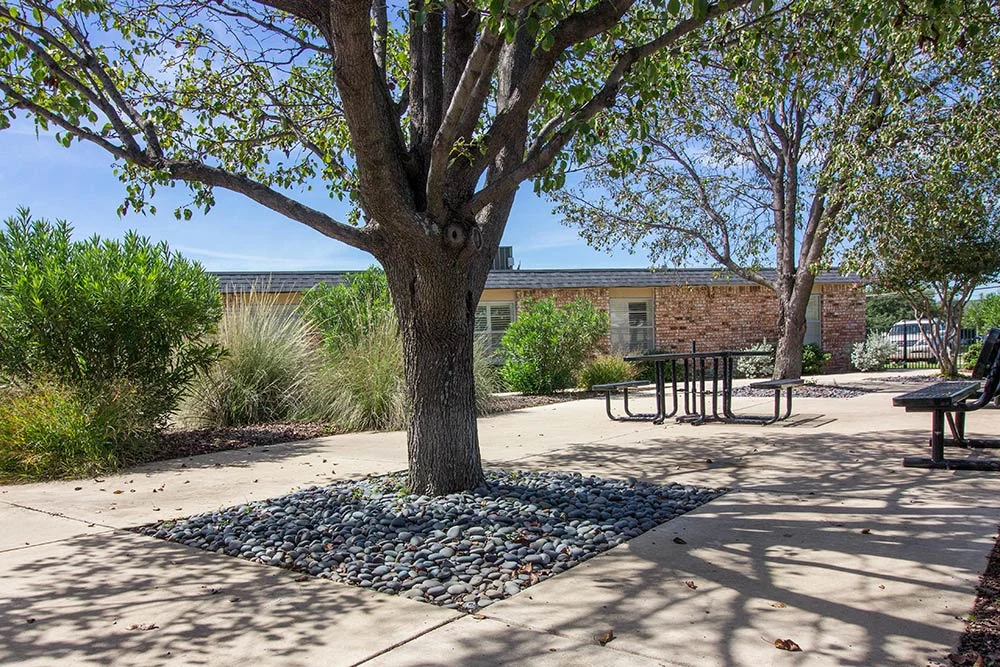 Image of Lindan Park Care Center Lp (8)