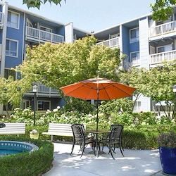 Image of Carlton Concord (2)