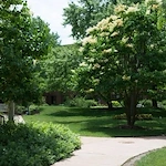 Image of Encore Village Senior Living (10)