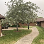 Image of McCrea Manor Nursing and Rehab (5)