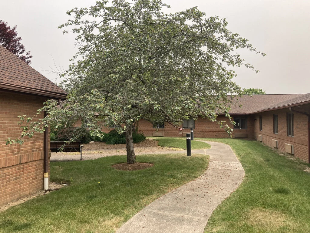 Image of McCrea Manor Nursing and Rehab (5)